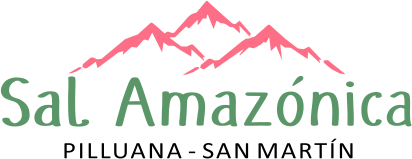 Cerro Sal Logo
